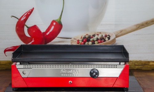 Plancha électrique pour cuisiner en intérieur toute l'année  