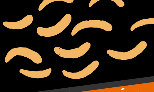 Bananes grillées à la plancha